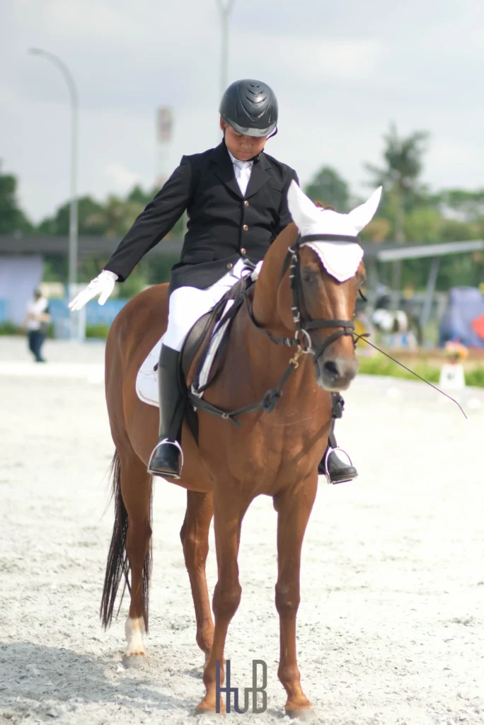 dressage berkuda