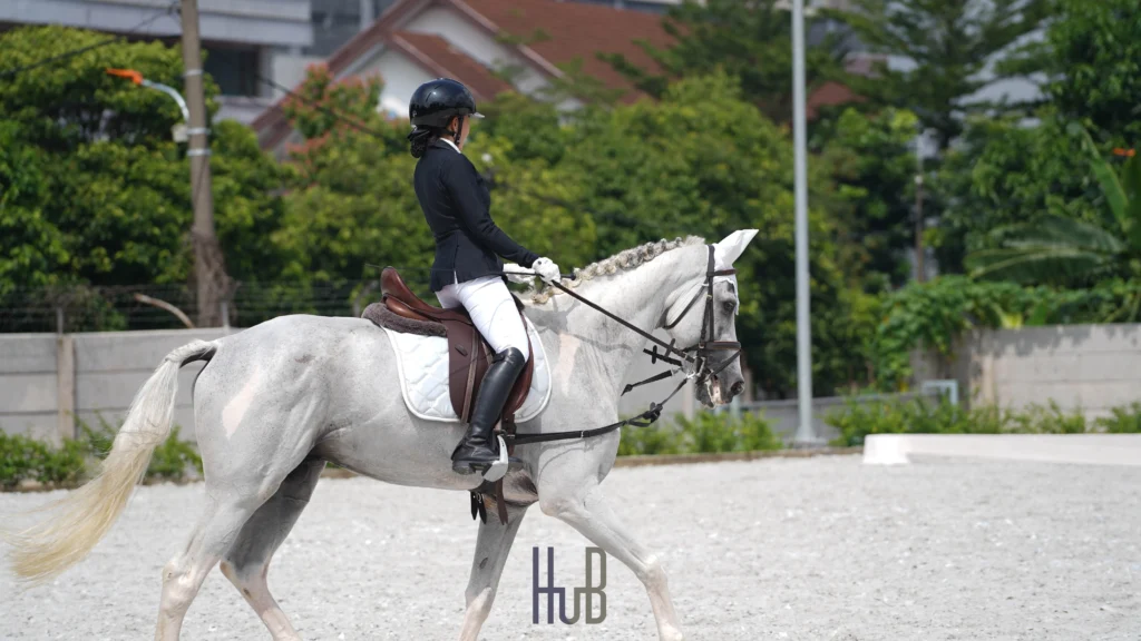 Dressage berkuda untuk pemula